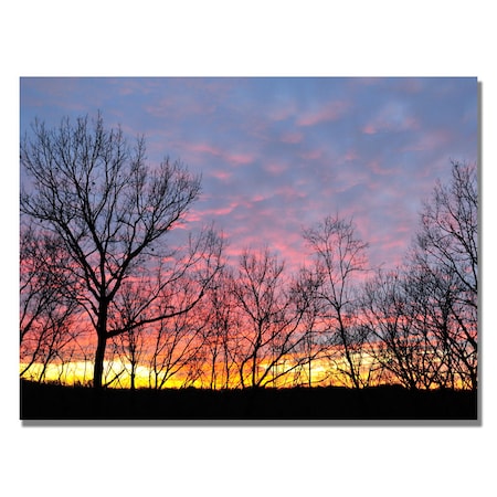 Trademark Fine Art Kurt Shaffer 'Winter Sunset' Canvas Art, 30x47 KS467-C3047GG